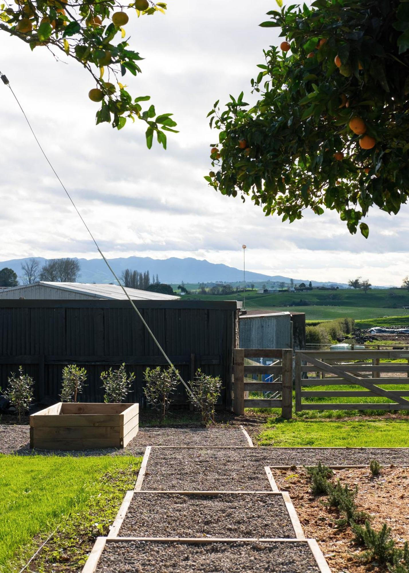 אוטורוהנגה Willow View Cottage - Beautiful Farm Views Close To Waitomo מראה חיצוני תמונה